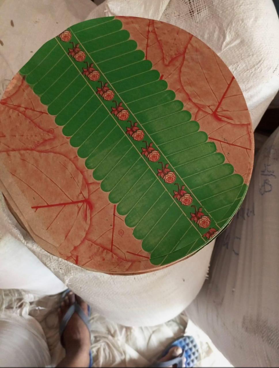 Banana Leaf PE Coating & Jumbo Roll